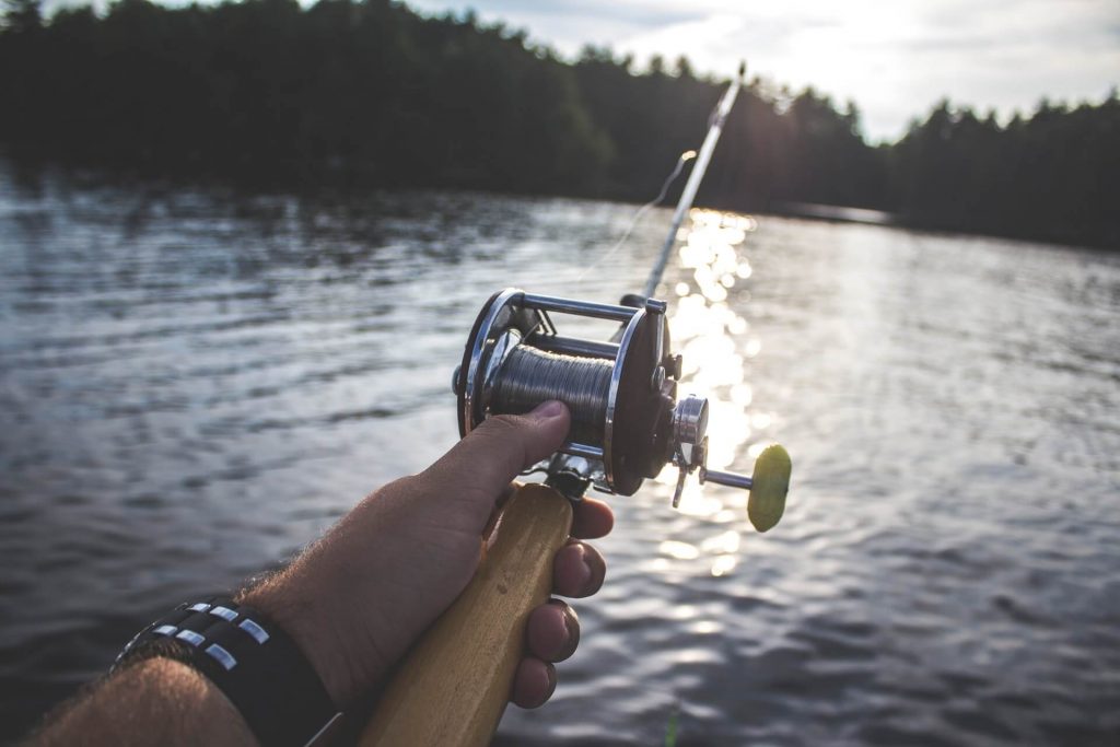 4 deilige måter å tilberede fisken på