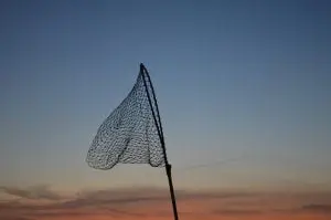 Kjedelig ventetid på fisketuren? Kanskje online investering gir mer spenning?